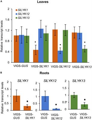 Tomato LysM Receptor-Like Kinase SlLYK12 Is Involved in Arbuscular Mycorrhizal Symbiosis